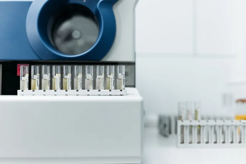 What the Numbers Actually Tell You: A Connoisseur's Guide to Reading Cannabis Lab Reports